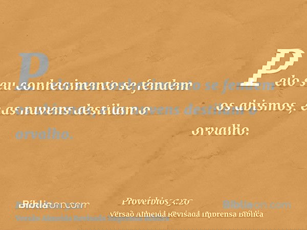 Pelo seu conhecimento se fendem os abismos, e as nuvens destilam o orvalho.