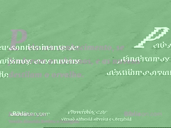 Pelo seu conhecimento, se fenderam os abismos, e as nuvens destilam o orvalho.