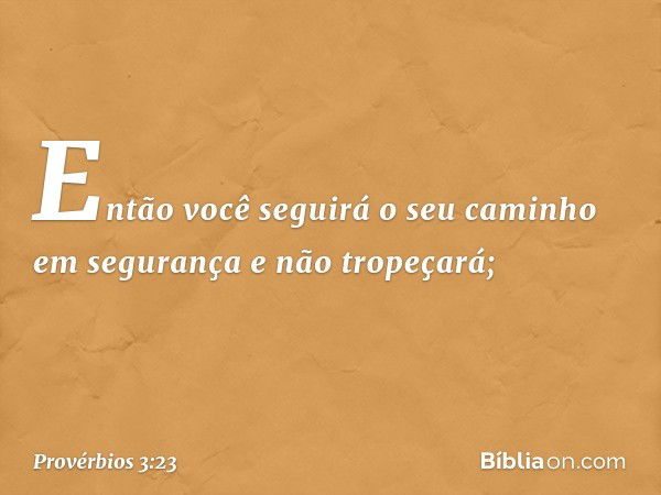 Então você seguirá o seu caminho
em segurança
e não tropeçará; -- Provérbios 3:23