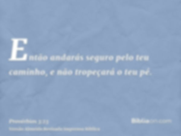 Então andarás seguro pelo teu caminho, e não tropeçará o teu pé.