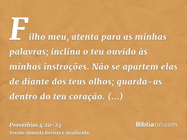 Filho meu, atenta para as minhas palavras; inclina o teu ouvido às minhas instroções.Não se apartem elas de diante dos teus olhos; guarda-as dentro do teu coraç