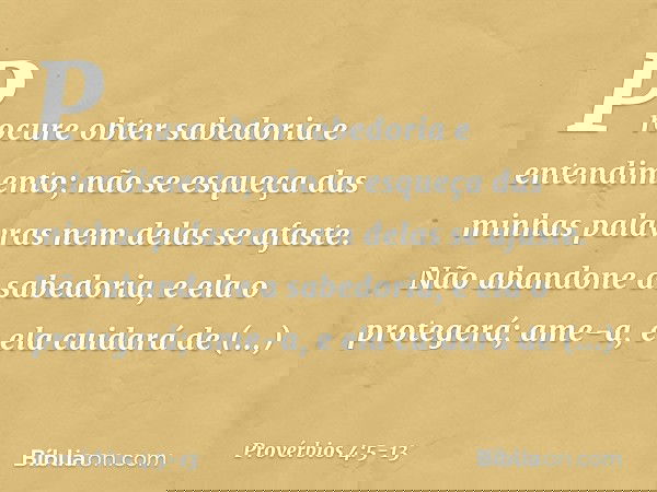 Procure obter sabedoria e entendimento;
não se esqueça das minhas palavras
nem delas se afaste. Não abandone a sabedoria,
e ela o protegerá;
ame-a, e ela cuidar