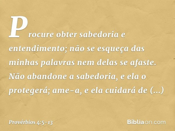 Procure obter sabedoria e entendimento;
não se esqueça das minhas palavras
nem delas se afaste. Não abandone a sabedoria,
e ela o protegerá;
ame-a, e ela cuidar