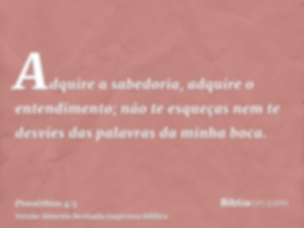 Adquire a sabedoria, adquire o entendimento; não te esqueças nem te desvies das palavras da minha boca.