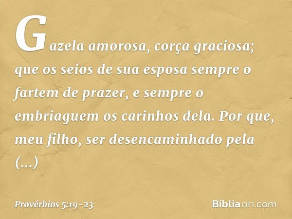 Gazela amorosa, corça graciosa;
que os seios de sua esposa
sempre o fartem de prazer,
e sempre o embriaguem os carinhos dela. Por que, meu filho, ser desencamin