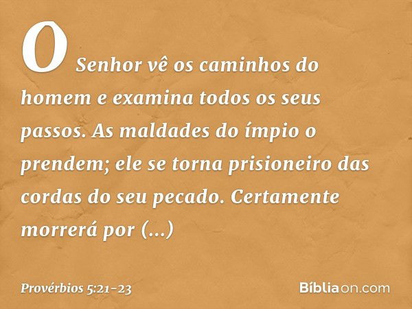 O Senhor vê os caminhos do homem
e examina todos os seus passos. As maldades do ímpio o prendem;
ele se torna prisioneiro
das cordas do seu pecado. Certamente m