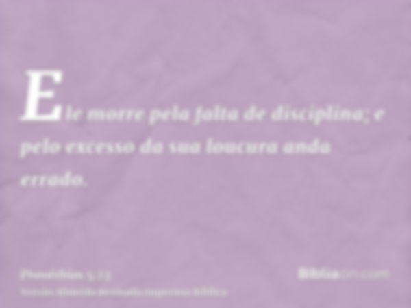 Ele morre pela falta de disciplina; e pelo excesso da sua loucura anda errado.