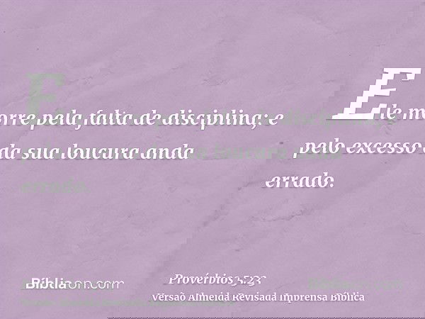 Ele morre pela falta de disciplina; e pelo excesso da sua loucura anda errado.