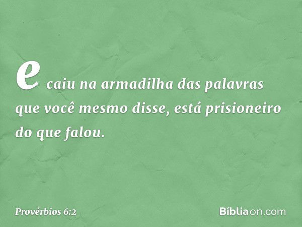 e caiu na armadilha
das palavras que você mesmo disse,
está prisioneiro do que falou. -- Provérbios 6:2