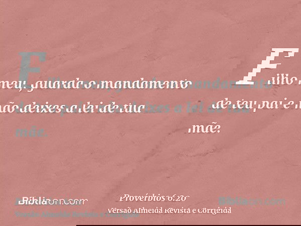 Filho meu, guarda o mandamento de teu pai e não deixes a lei de tua mãe.