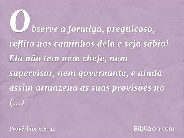 Observe a formiga, preguiçoso,
reflita nos caminhos dela e seja sábio! Ela não tem nem chefe,
nem supervisor, nem governante, e ainda assim armazena
as suas pro