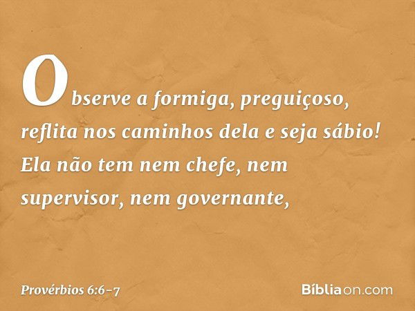 Observe a formiga, preguiçoso,
reflita nos caminhos dela e seja sábio! Ela não tem nem chefe,
nem supervisor, nem governante, -- Provérbios 6:6-7