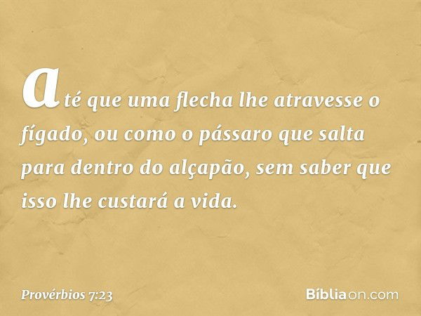 até que uma flecha lhe atravesse o fígado,
ou como o pássaro que salta
para dentro do alçapão,
sem saber que isso lhe custará a vida. -- Provérbios 7:23