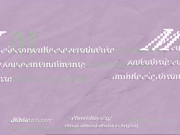 Meu é o conselho e a verdadeira sabedoria; eu sou o entendimento, minha é a fortaleza.