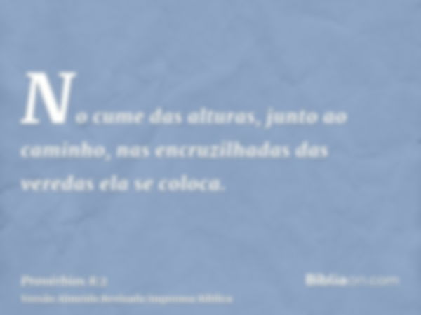 No cume das alturas, junto ao caminho, nas encruzilhadas das veredas ela se coloca.