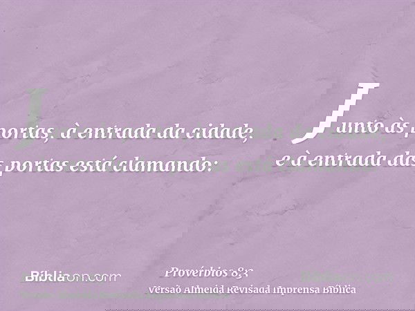 Junto às portas, à entrada da cidade, e à entrada das portas está clamando: