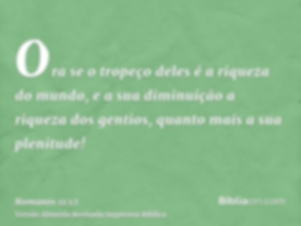 Ora se o tropeço deles é a riqueza do mundo, e a sua diminuição a riqueza dos gentios, quanto mais a sua plenitude!