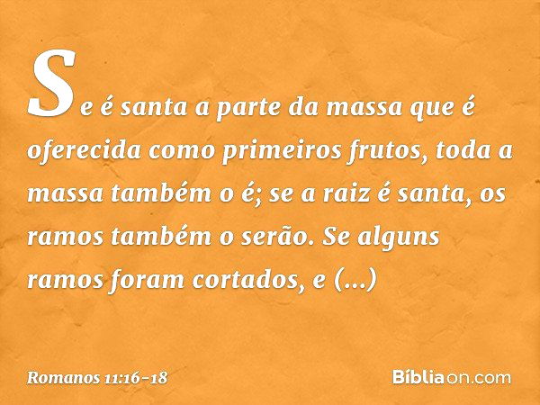 Se é santa a parte da massa que é oferecida como primeiros frutos, toda a massa também o é; se a raiz é santa, os ramos também o serão. Se alguns ramos foram co