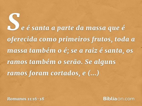 Se é santa a parte da massa que é oferecida como primeiros frutos, toda a massa também o é; se a raiz é santa, os ramos também o serão. Se alguns ramos foram co