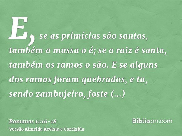 E, se as primícias são santas, também a massa o é; se a raiz é santa, também os ramos o são.E se alguns dos ramos foram quebrados, e tu, sendo zambujeiro, foste