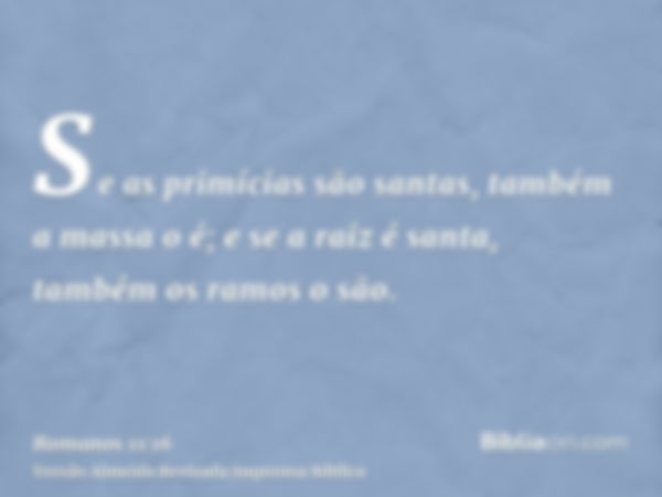 Se as primícias são santas, também a massa o é; e se a raiz é santa, também os ramos o são.