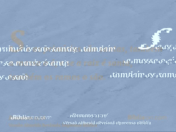 Se as primícias são santas, também a massa o é; e se a raiz é santa, também os ramos o são.