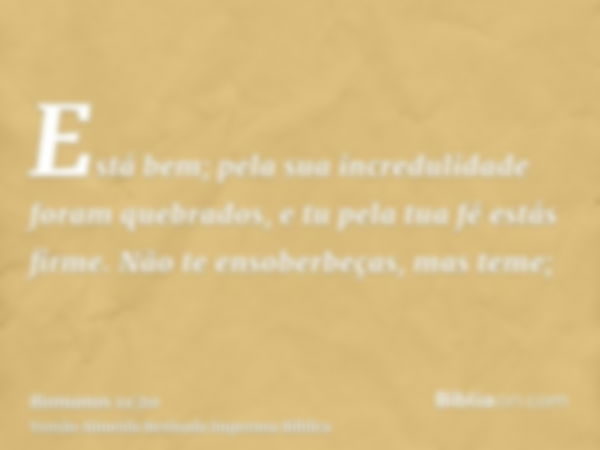 Está bem; pela sua incredulidade foram quebrados, e tu pela tua fé estás firme. Não te ensoberbeças, mas teme;