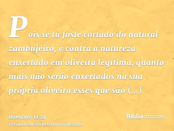 Romanos 11:24 - Bíblia