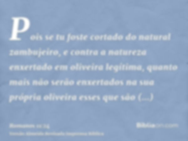 Pois se tu foste cortado do natural zambujeiro, e contra a natureza enxertado em oliveira legítima, quanto mais não serão enxertados na sua própria oliveira ess