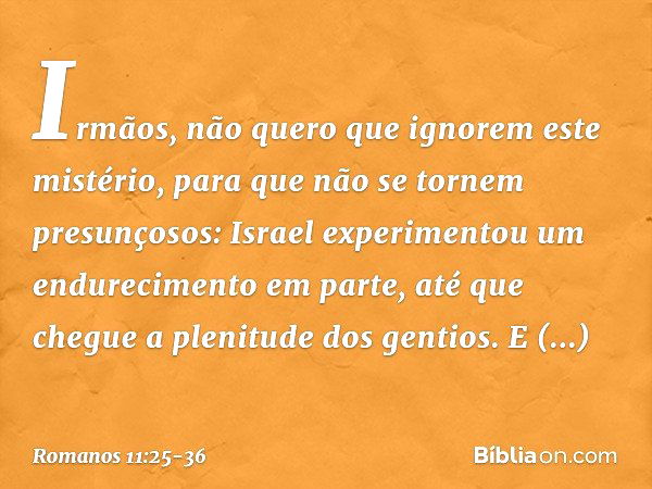 Irmãos, não quero que ignorem este mistério, para que não se tornem presunçosos: Israel experimentou um endurecimento em parte, até que chegue a plenitude dos g