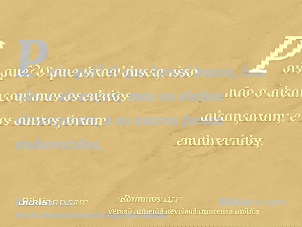 Pois quê? O que Israel busca, isso não o alcançou; mas os eleitos alcançaram; e os outros foram endurecidos,