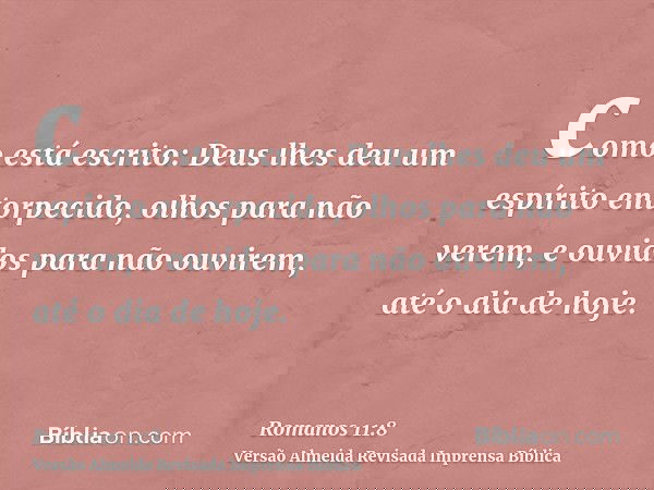 como está escrito: Deus lhes deu um espírito entorpecido, olhos para não verem, e ouvidos para não ouvirem, até o dia de hoje.