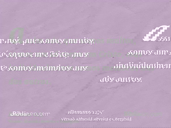 assim nós, que somos muitos, somos um só corpo em Cristo, mas individualmente somos membros uns dos outros.