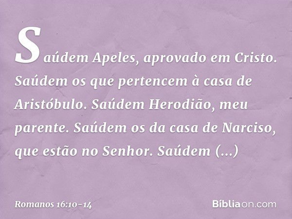 Saúdem Apeles, aprovado em Cristo.
Saúdem os que pertencem à casa de Aristóbulo. Saúdem Herodião, meu parente.
Saúdem os da casa de Narciso, que estão no Senhor