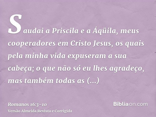 Saudai a Priscila e a Áqüila, meus cooperadores em Cristo Jesus,os quais pela minha vida expuseram a sua cabeça; o que não só eu lhes agradeço, mas também todas