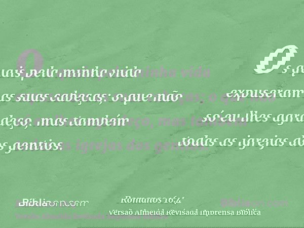 os quais pela minha vida expuseram as suas cabeças; o que não só eu lhes agradeço, mas também todas as igrejas dos gentios.