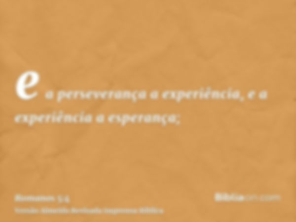 e a perseverança a experiência, e a experiência a esperança;