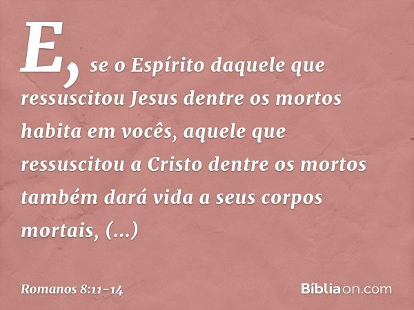 E, se o Espírito daquele que ressuscitou Jesus dentre os mortos habita em vocês, aquele que ressuscitou a Cristo dentre os mortos também dará vida a seus corpos