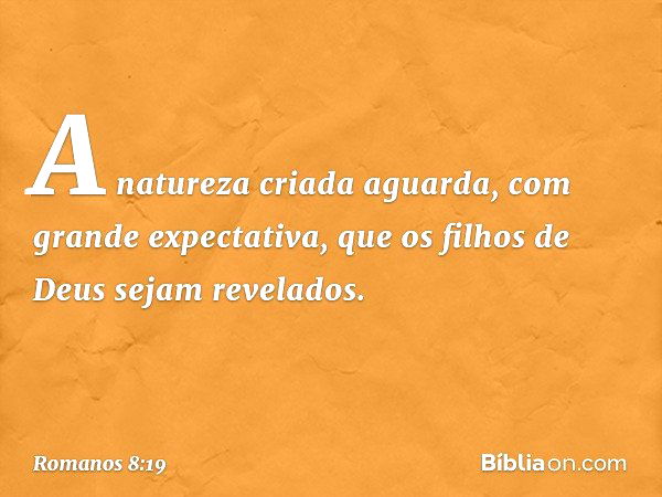 A natureza criada aguarda, com grande expectativa, que os filhos de Deus sejam revelados. -- Romanos 8:19