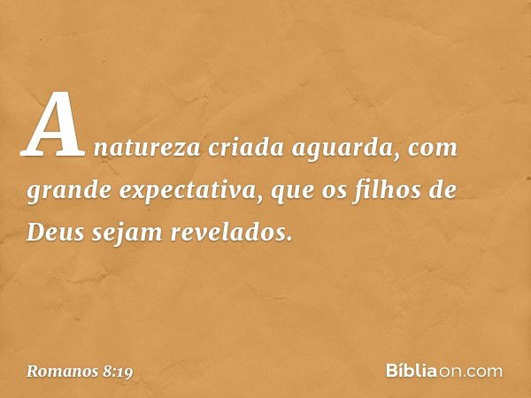 A natureza criada aguarda, com grande expectativa, que os filhos de Deus sejam revelados. -- Romanos 8:19