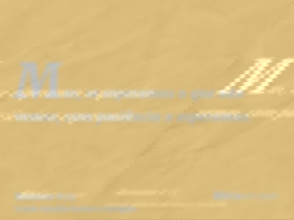 Mas, se esperamos o que não vemos, com paciência o esperamos.