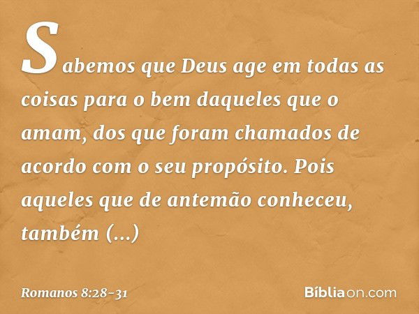 Sabemos que Deus age em todas as coisas para o bem daqueles que o amam, dos que foram chamados de acordo com o seu propósito. Pois aqueles que de antemão conhec