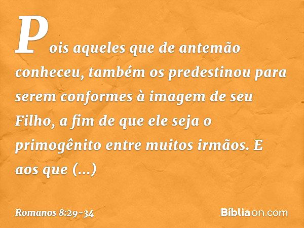 Pois aqueles que de antemão conheceu, também os predestinou para serem conformes à imagem de seu Filho, a fim de que ele seja o primogênito entre muitos irmãos.