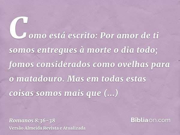 Como está escrito: Por amor de ti somos entregues à morte o dia todo; fomos considerados como ovelhas para o matadouro.Mas em todas estas coisas somos mais que 