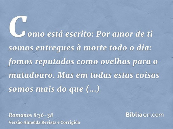 Como está escrito: Por amor de ti somos entregues à morte todo o dia: fomos reputados como ovelhas para o matadouro.Mas em todas estas coisas somos mais do que 