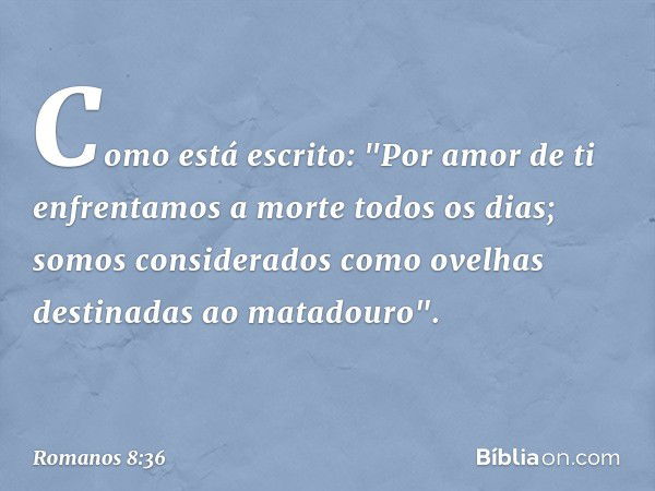 Como está escrito:
"Por amor de ti enfrentamos
a morte todos os dias;
somos considerados
como ovelhas
destinadas ao matadouro". -- Romanos 8:36