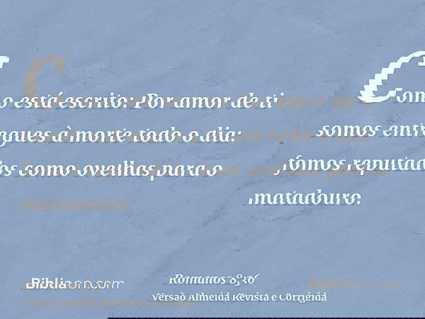 Como está escrito: Por amor de ti somos entregues à morte todo o dia: fomos reputados como ovelhas para o matadouro.