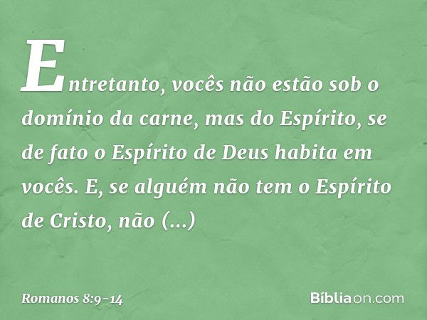 Entretanto, vocês não estão sob o domínio da carne, mas do Espírito, se de fato o Espírito de Deus habita em vocês. E, se alguém não tem o Espírito de Cristo, n