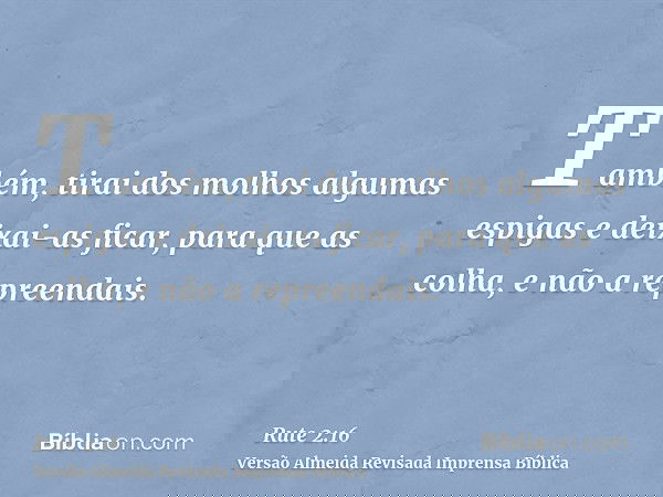 Também, tirai dos molhos algumas espigas e deixai-as ficar, para que as colha, e não a repreendais.