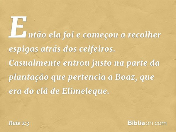 Então ela foi e começou a recolher espigas atrás dos ceifeiros. Casualmente entrou justo na parte da plantação que pertencia a Boaz, que era do clã de Elimelequ